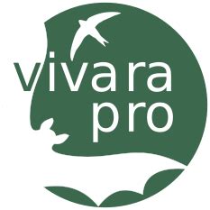 Vivara Pro